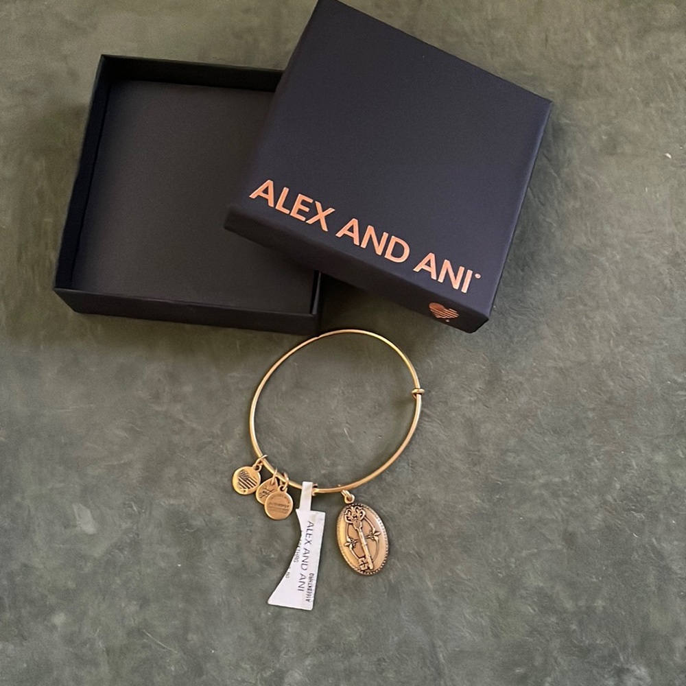 NEW in box Alex and Ani Key to Life Gold bracelet never worn